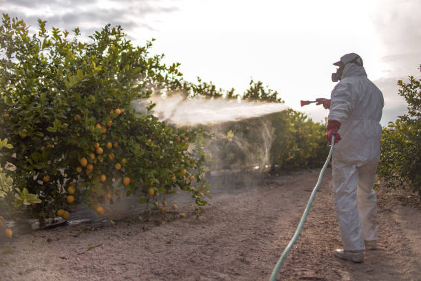 Best Bed Bug Extermination  in Hoosick Falls, NY