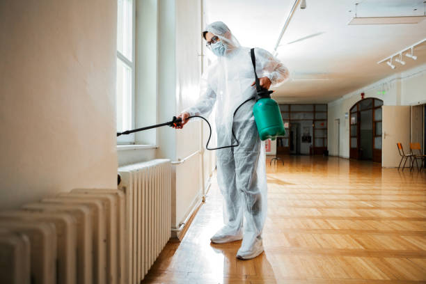 Professional Pest Control in Hoosick Falls, NY