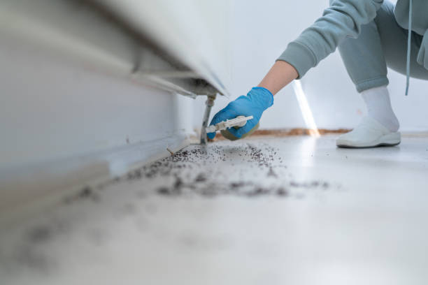 Best Mosquito Control Services  in Hoosick Falls, NY